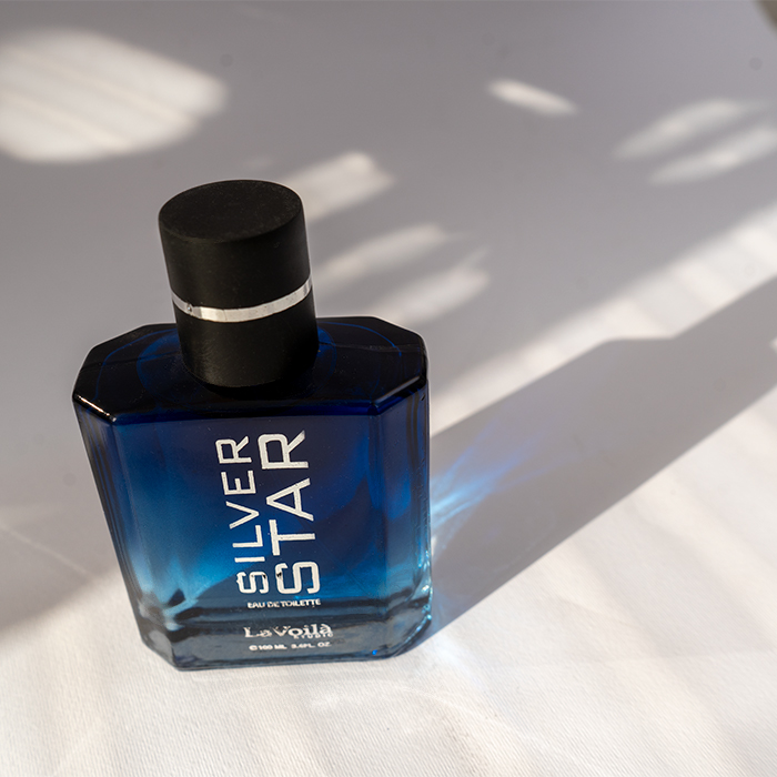 عطر مردانه مدل SILVER STAR